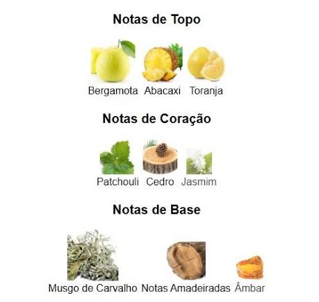 Pirâmide Olfativa (Nosso Produto)
