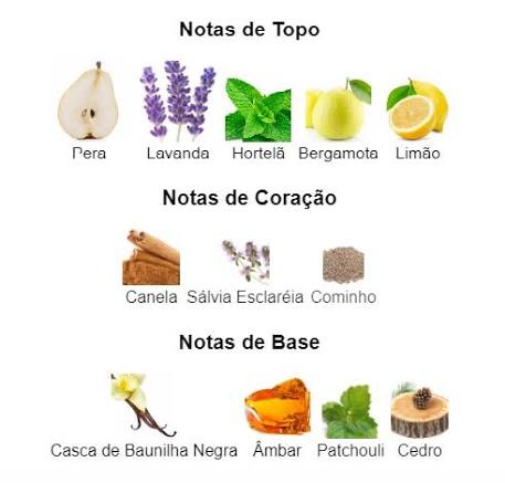 Pirâmide Olfativa (Nosso Produto)