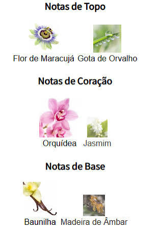 Pirâmide Olfativa (Nosso Produto)