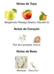 Pirâmide Olfativa (Nosso Produto)