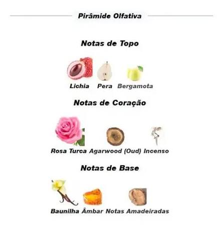 Pirâmide Olfativa (Nosso Produto)