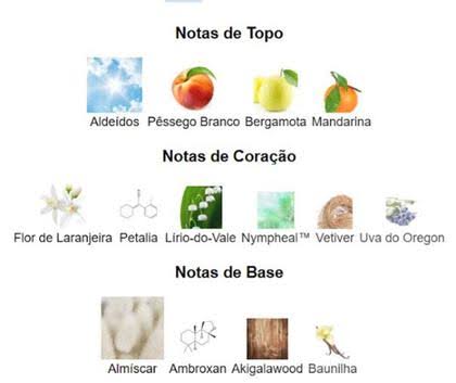 Pirâmide Olfativa (Perfume Inspirado)
