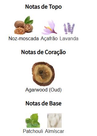 Pirâmide Olfativa (Nosso Produto)